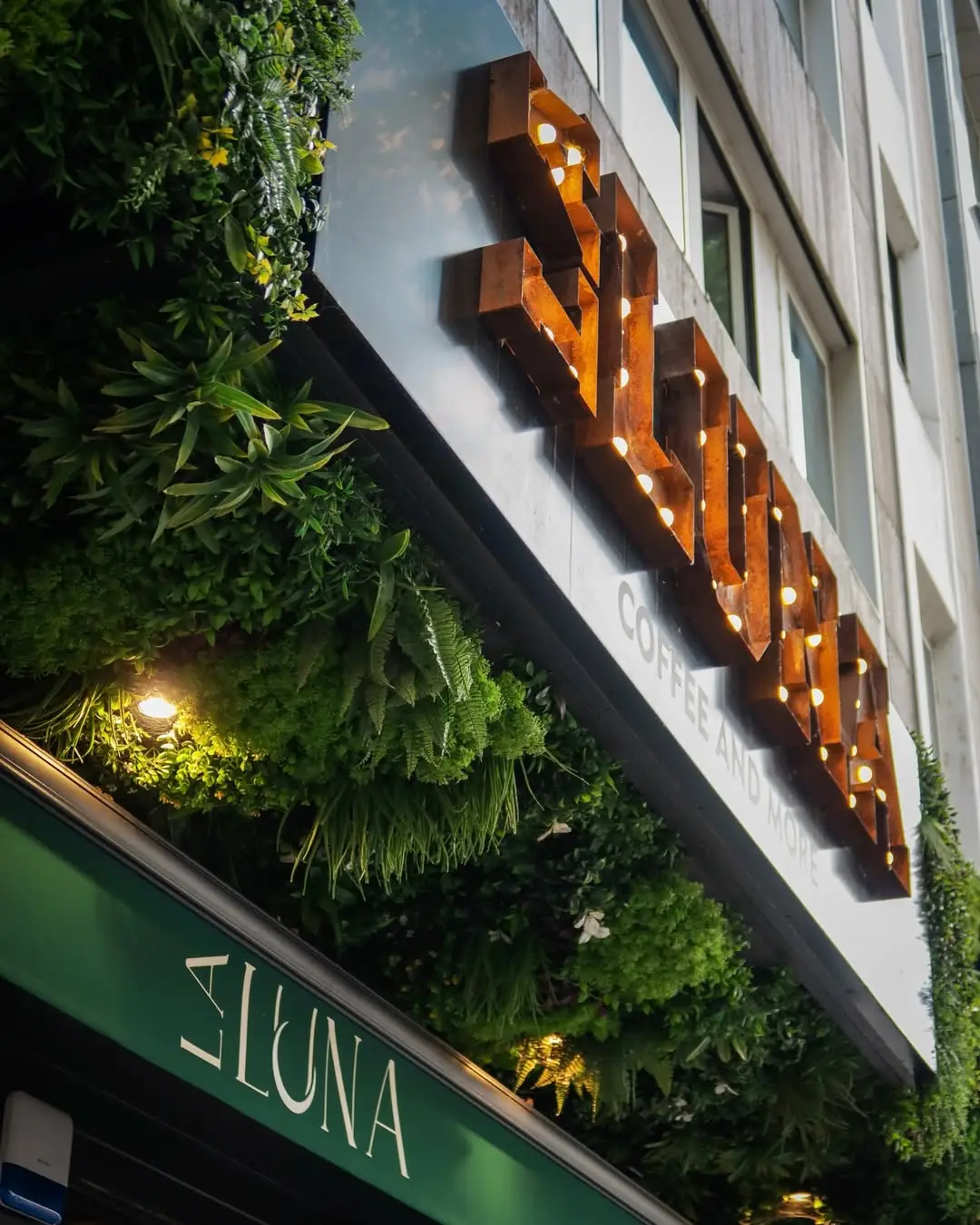 La Luna Coffee and More